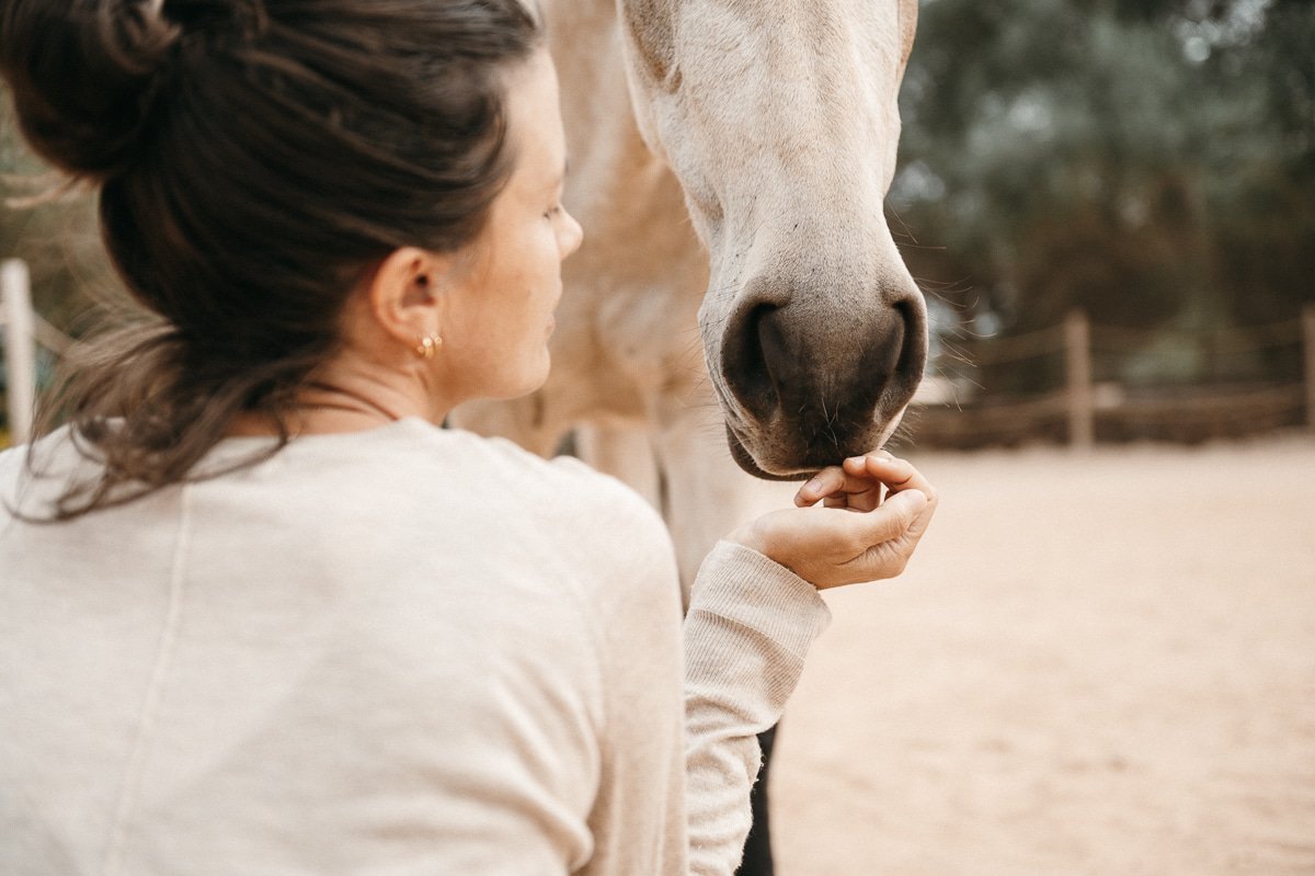 Tamara Scholz offering her hand to a grey horse in the arena
