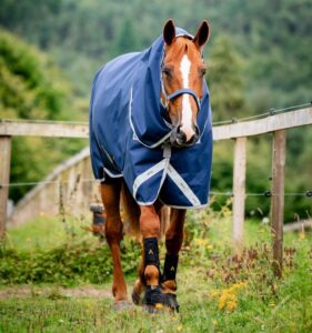 Horseware Ireland Amigo Bravo 12 Plus 400g turnout rug