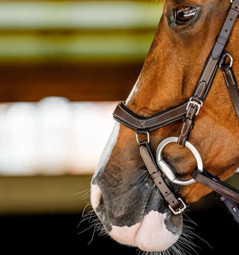 Horseware Ireland Micklem Competition Bridle