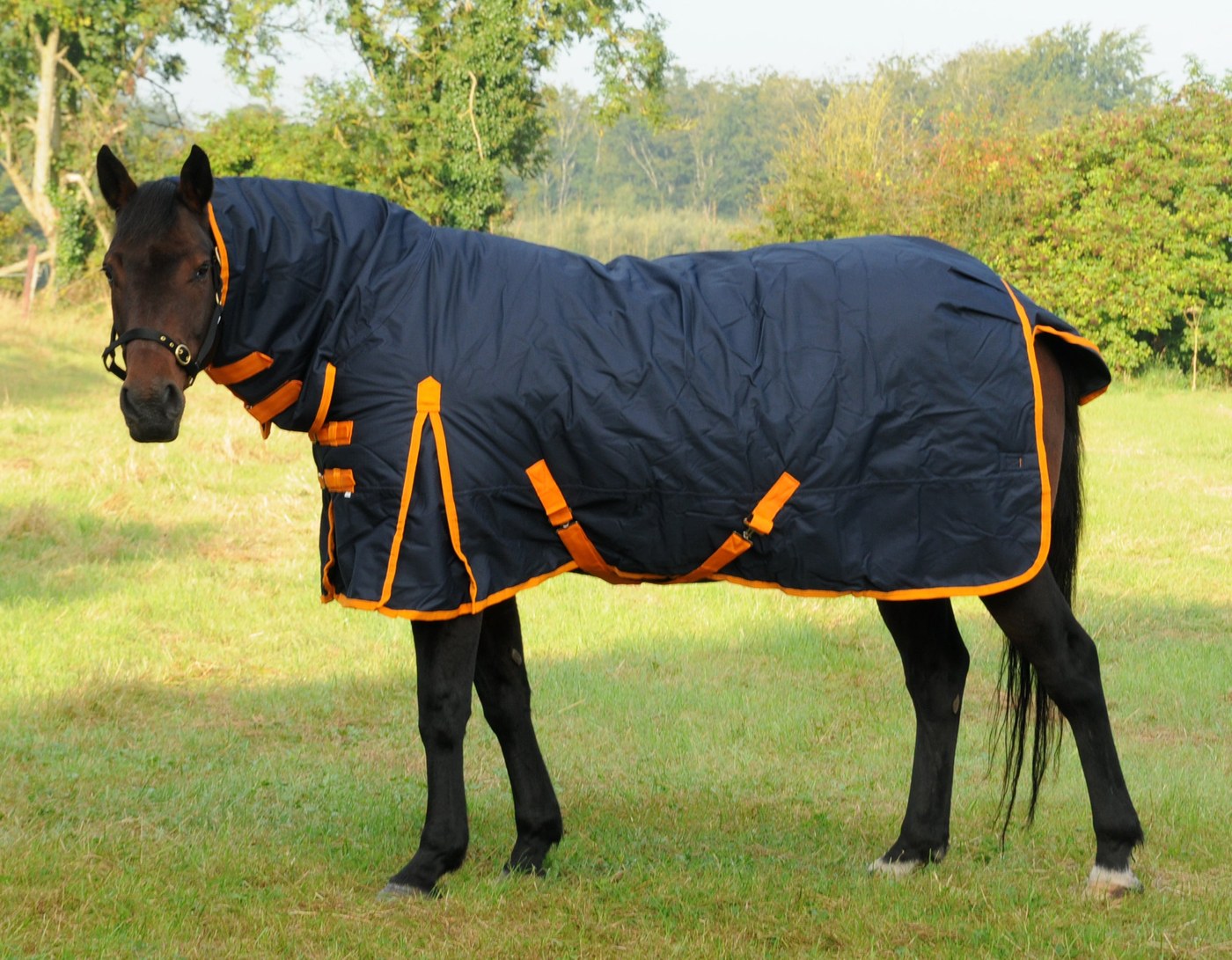 TRI Equestrian Arkle 350g Full Neck Turnout